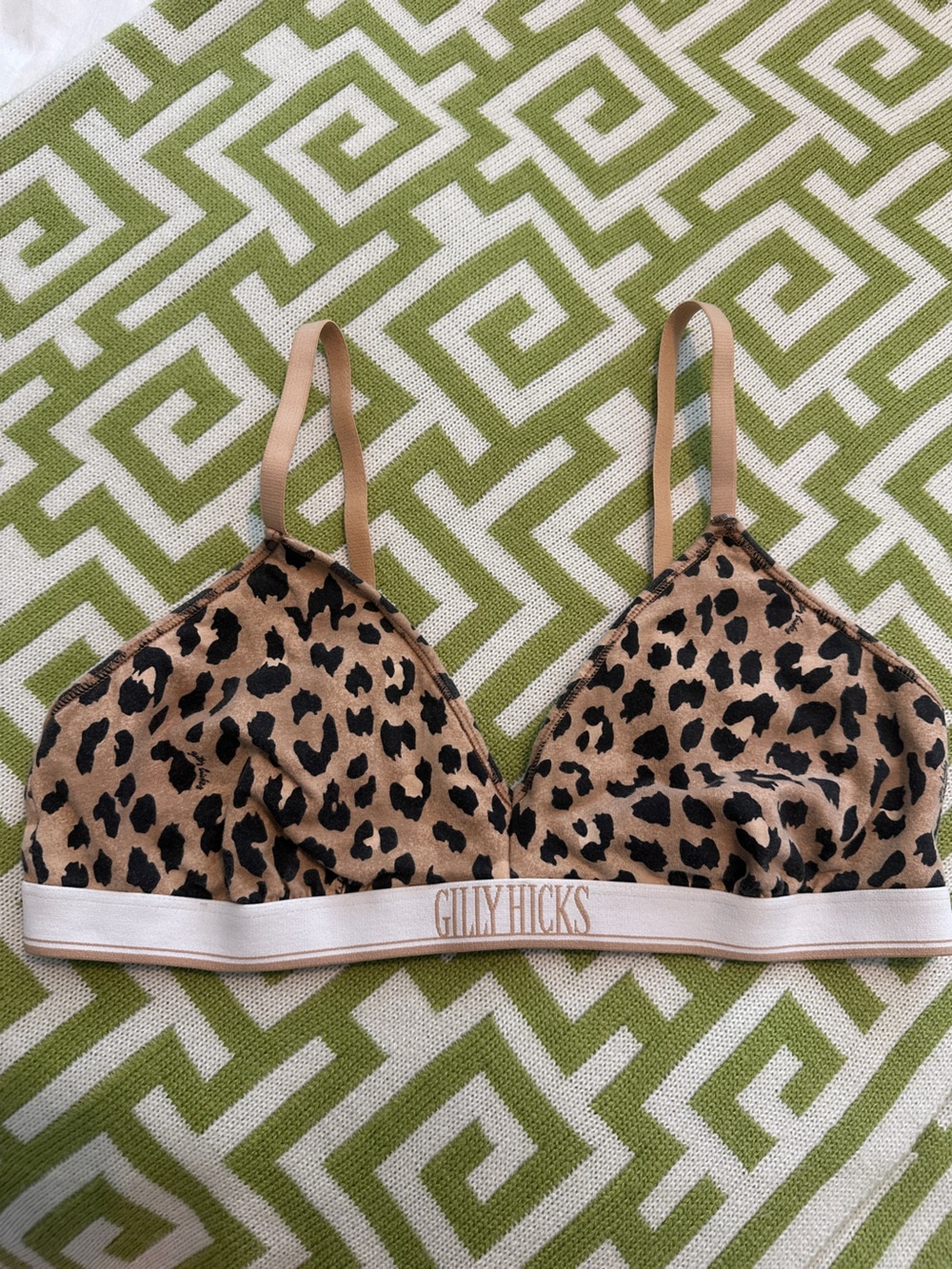 Gilly Hicks Cheetah-Print Bralette Size L by Hollister